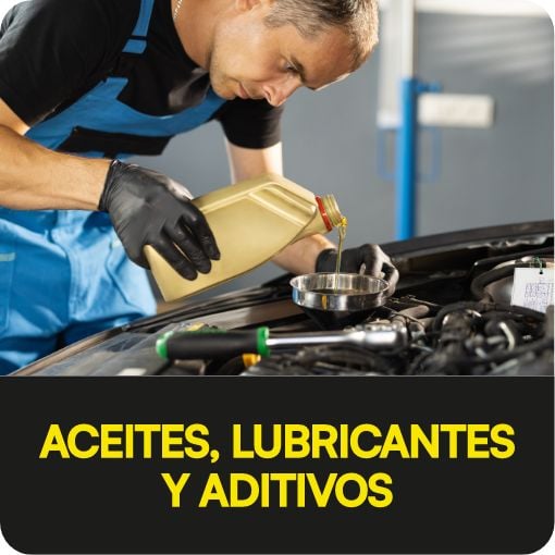 Contenido